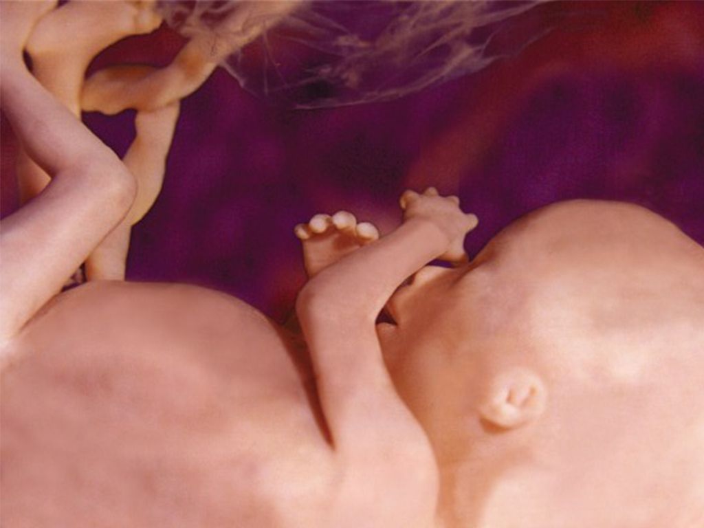 Dzień 7 "Tygodnia Modlitw o Ochronę Życia"