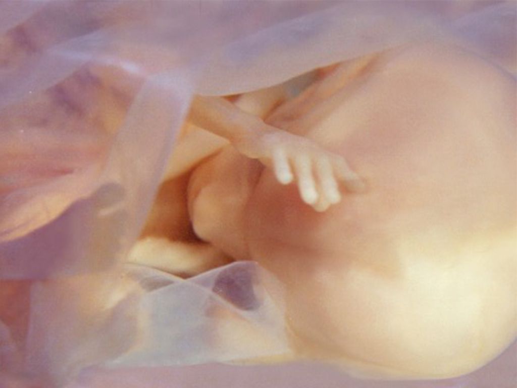 Dzień 3 "Tygodnia Modlitw o Ochronę Życia"