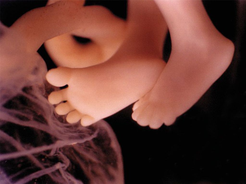 Dzień 2 "Tygodnia Modlitw o Ochronę Życia"