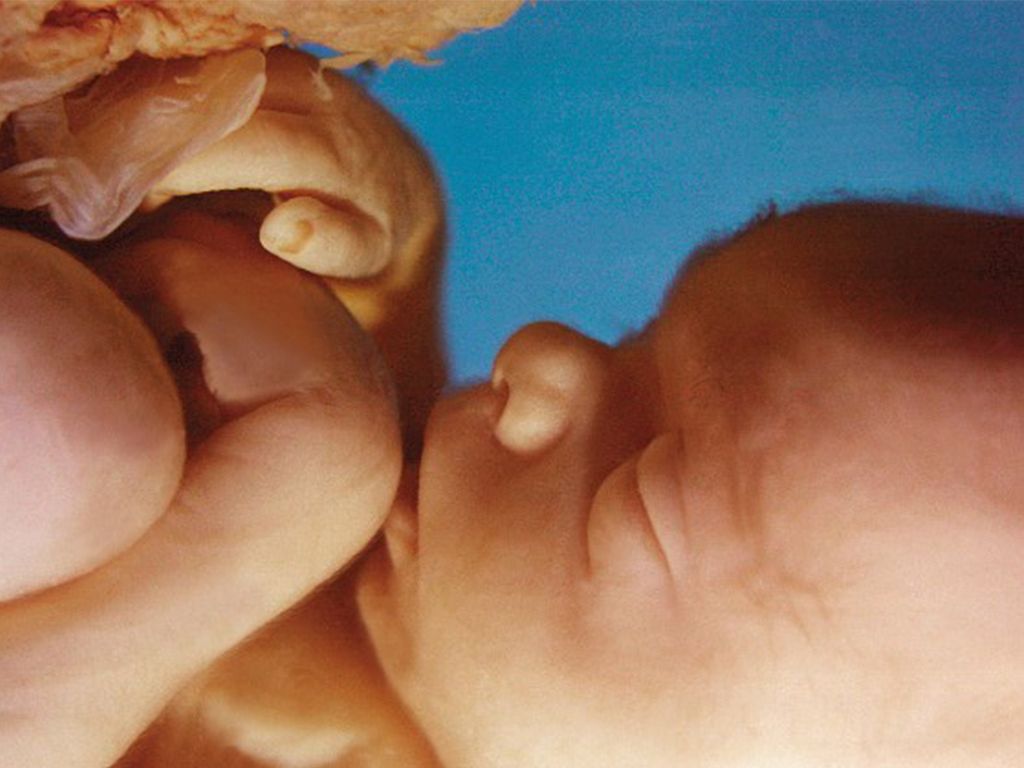 Dzień 1 "Tygodnia Modlitw o Ochronę Życia"