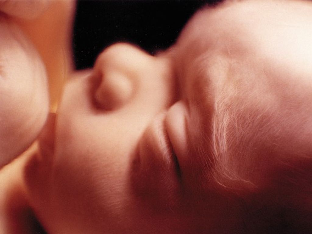 Materiały duszpasterskie na "Tydzień Modlitw o Ochronę Życia" - 19-25 marca br.