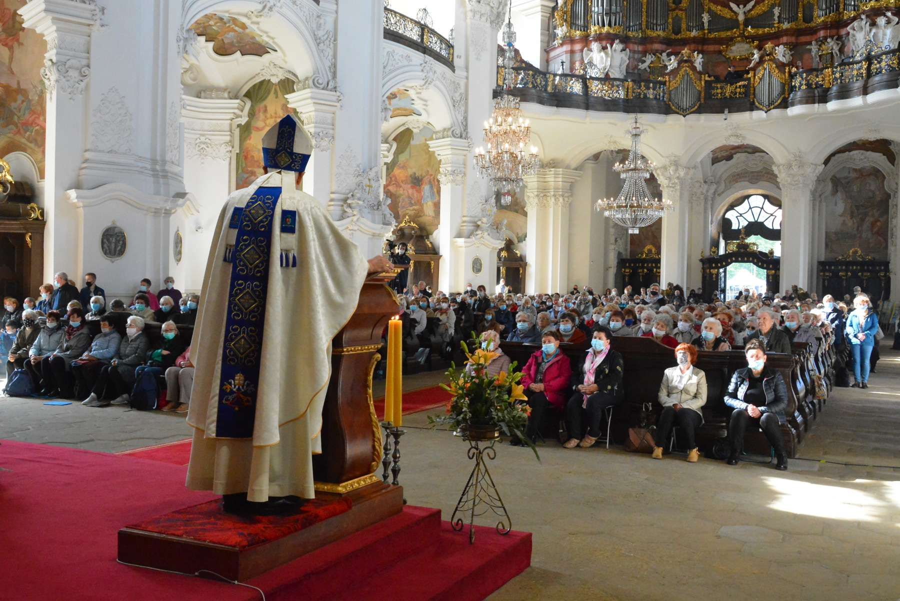 Róże różańcowe w Krzeszowie