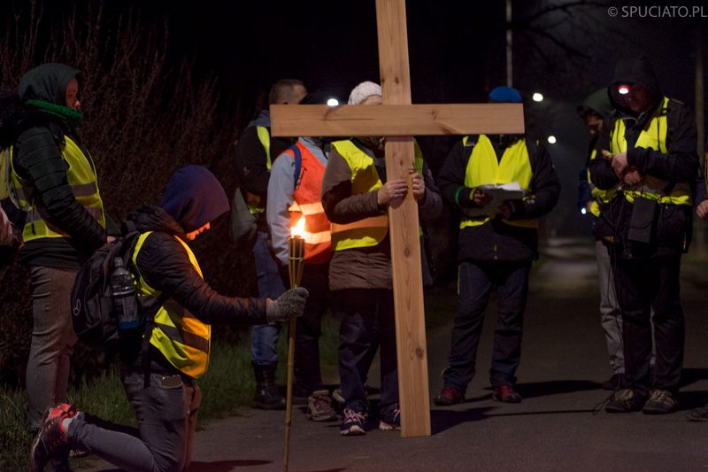 Nocą z Bolesławca do Wilczego Lasu
