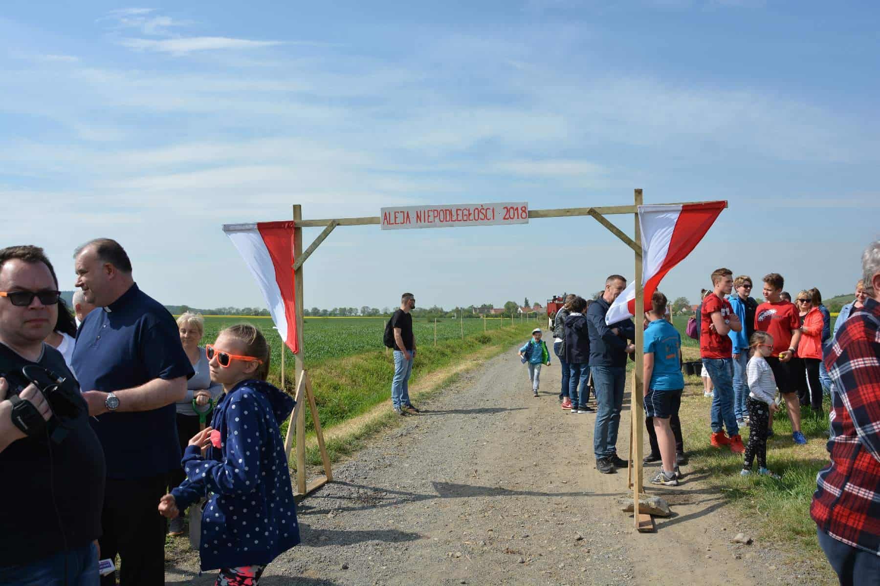 Męcińska Aleja Niepodległości