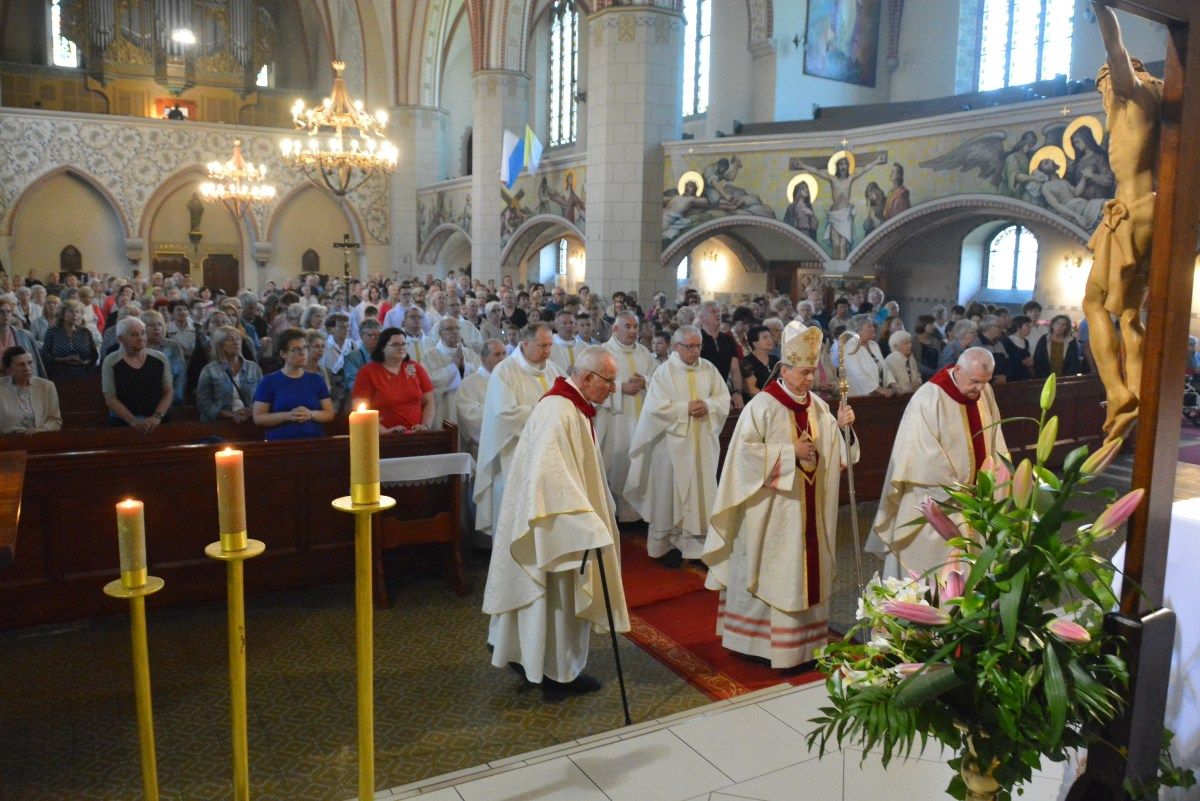 Margaretki u św. Jacka